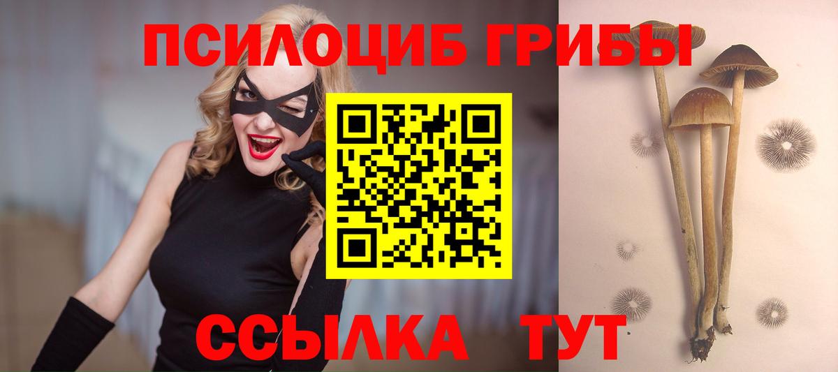 Шарыпово  Галлюциногенные грибы ЛСД  Вход с VPN 